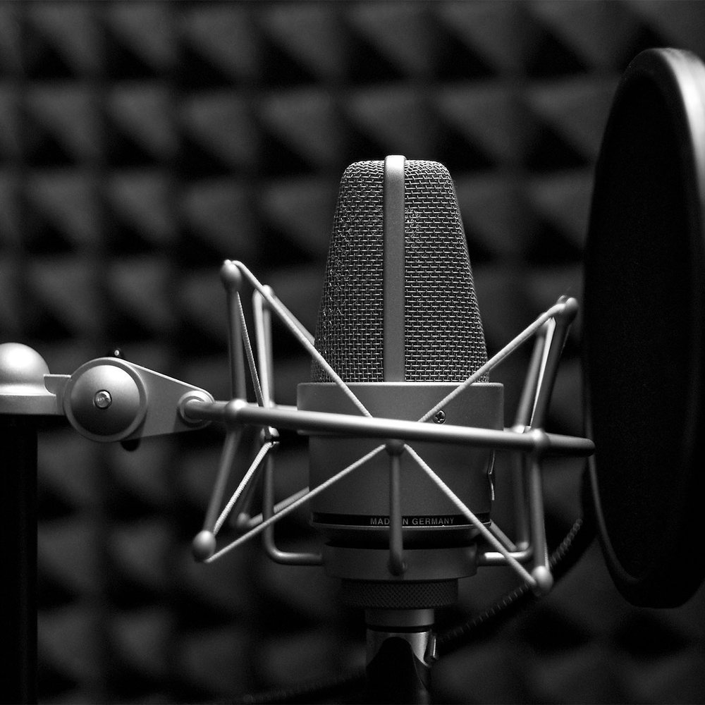 A large-diaphragm studio microphone in a shock mount behind a pop filter, photographed in black and white against acoustic foam.